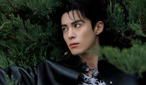 娱乐大爆料 王鹤棣视频,娱乐大爆料揭秘幕后故事